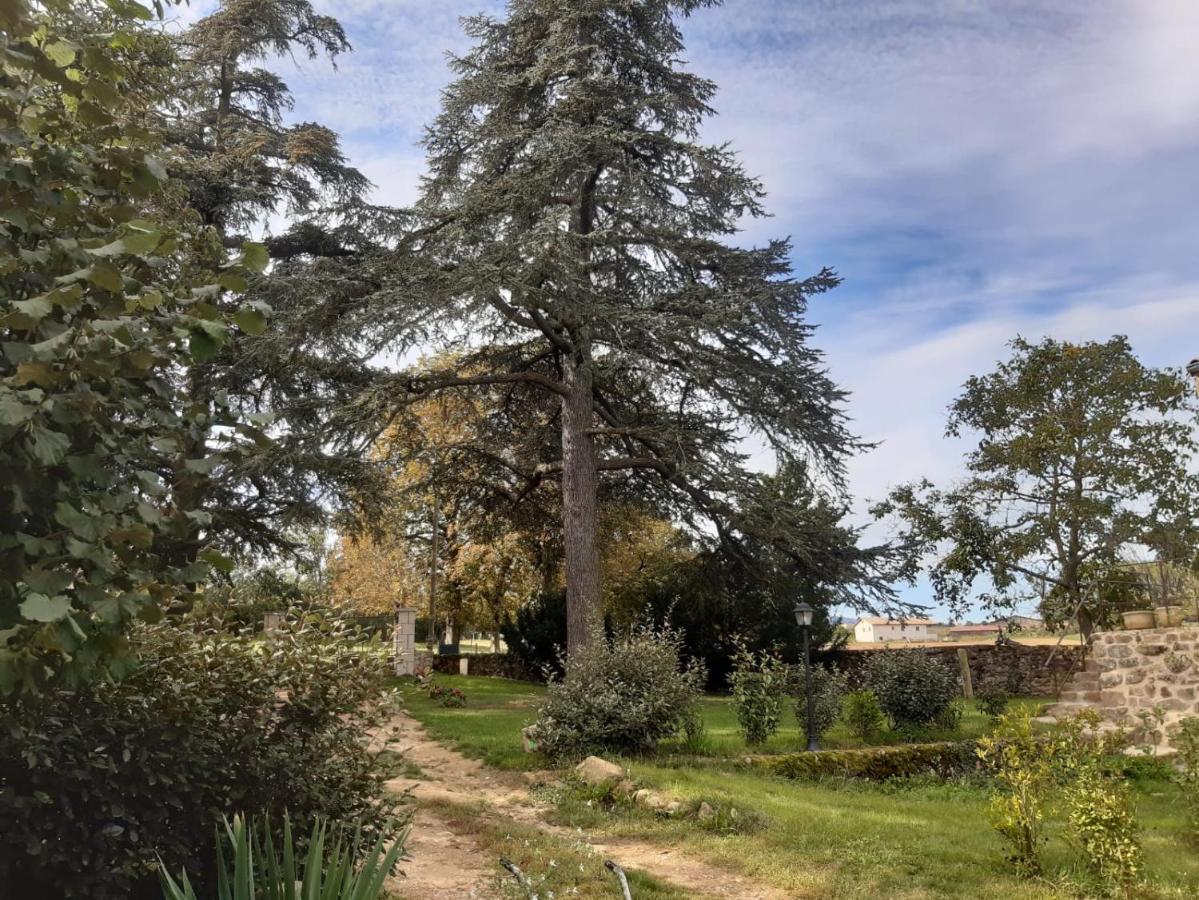 Hébergement de vacances L'atelier De Pierre
